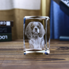 Picture of Personalized 2D or 3D Crystal Photo Keychain Gift in Heart Crystal - Custom Photo Keychain - Pet Lover Gift
