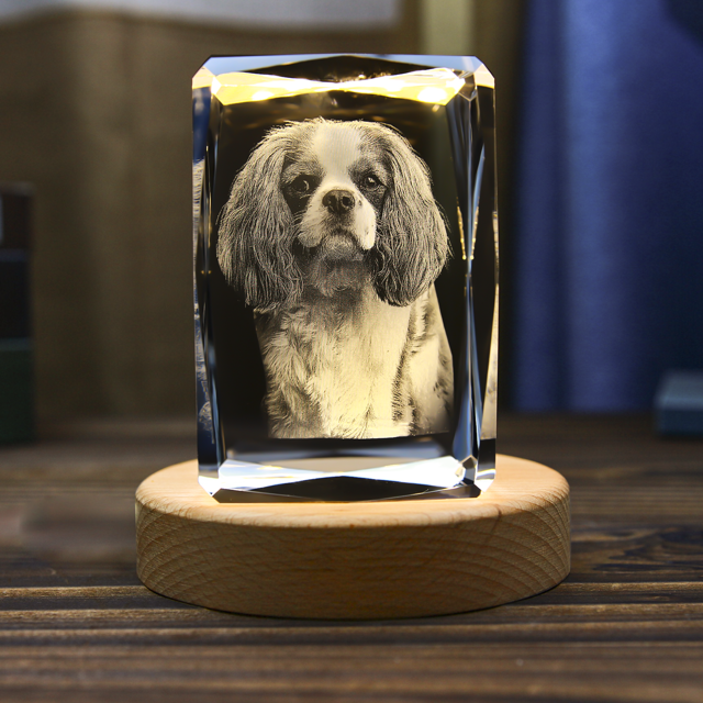 Picture of Personalized 2D or 3D Crystal Photo Keychain Gift in Heart Crystal - Custom Photo Keychain - Pet Lover Gift