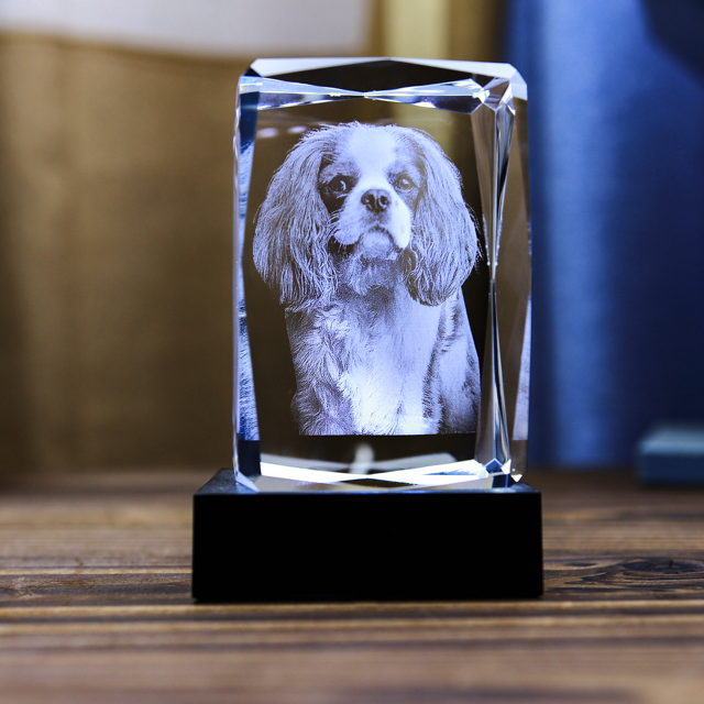 Picture of Personalized 2D or 3D Crystal Photo Keychain Gift in Heart Crystal - Custom Photo Keychain - Pet Lover Gift