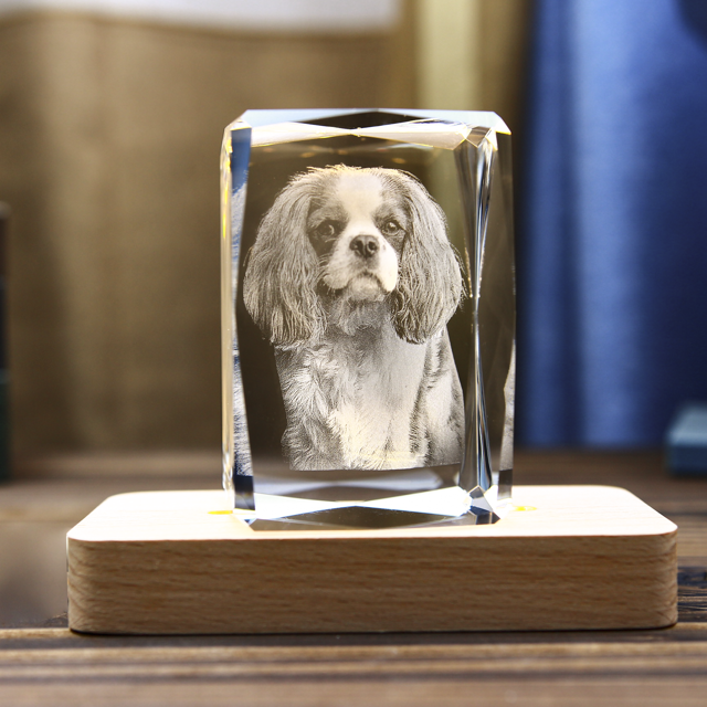 Picture of Personalized 2D or 3D Crystal Photo Keychain Gift in Heart Crystal - Custom Photo Keychain - Pet Lover Gift