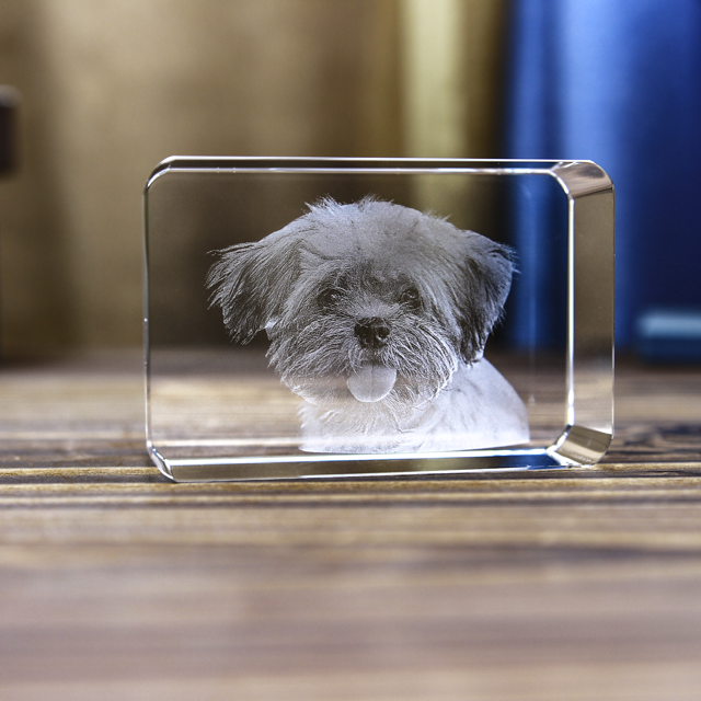 Picture of Personalized 2D or 3D Crystal Photo Keychain Gift in Heart Crystal - Custom Photo Keychain - Pet Lover Gift