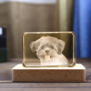 Picture of Personalized 2D or 3D Crystal Photo Keychain Gift in Heart Crystal - Custom Photo Keychain - Pet Lover Gift