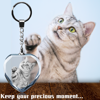 Picture of Personalized 2D or 3D Crystal Photo Keychain Gift in Heart Shape Crystal - Custom Photo Keychain - Pet Lover Gift