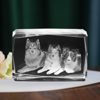 Picture of Personalized 2D or 3D Crystal Photo Keychain Gift in Heart Crystal - Custom Photo Keychain - Pet Lover Gift
